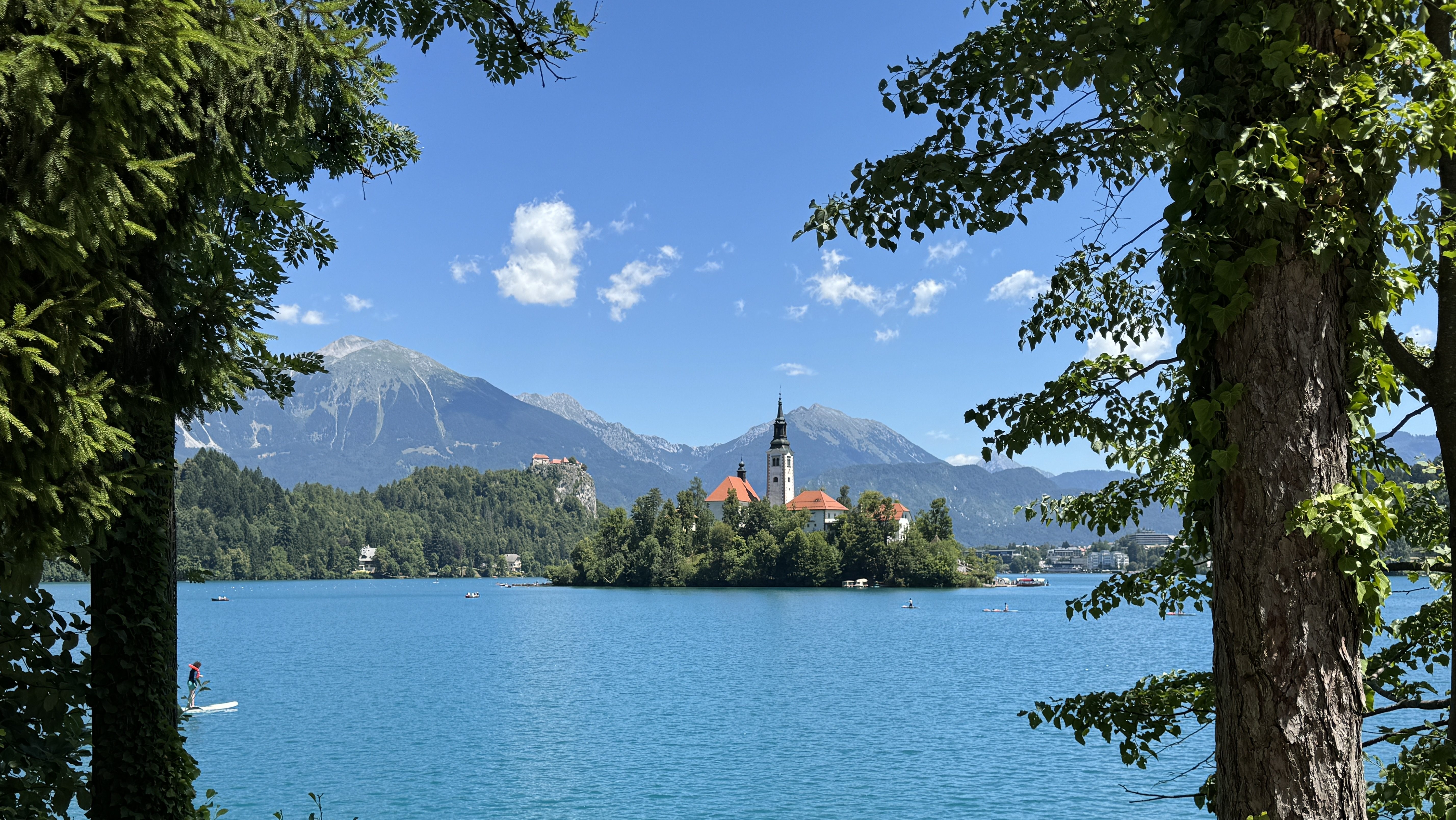 Bled